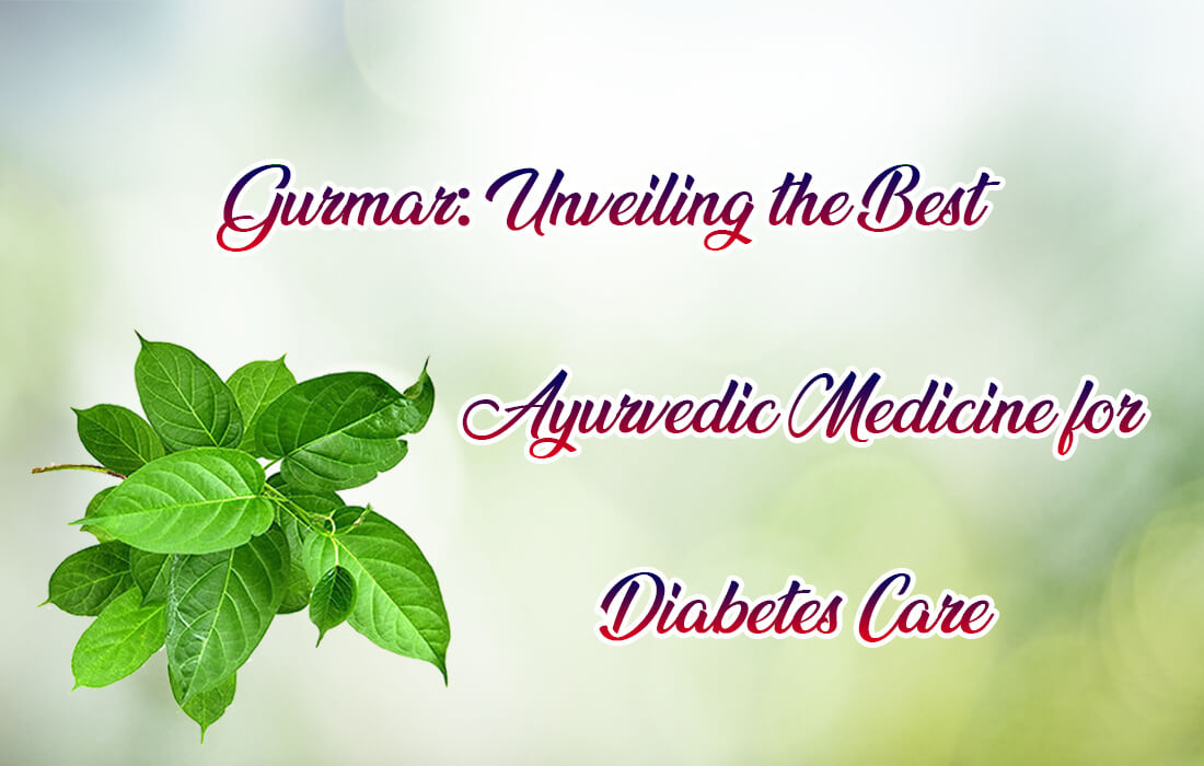 Gurmar: Unveiling the Best Ayurvedic Medicine for Diabetes Care